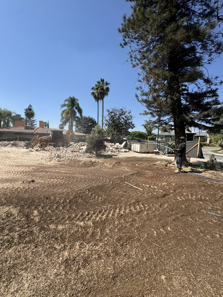 Video: Proceso Completo