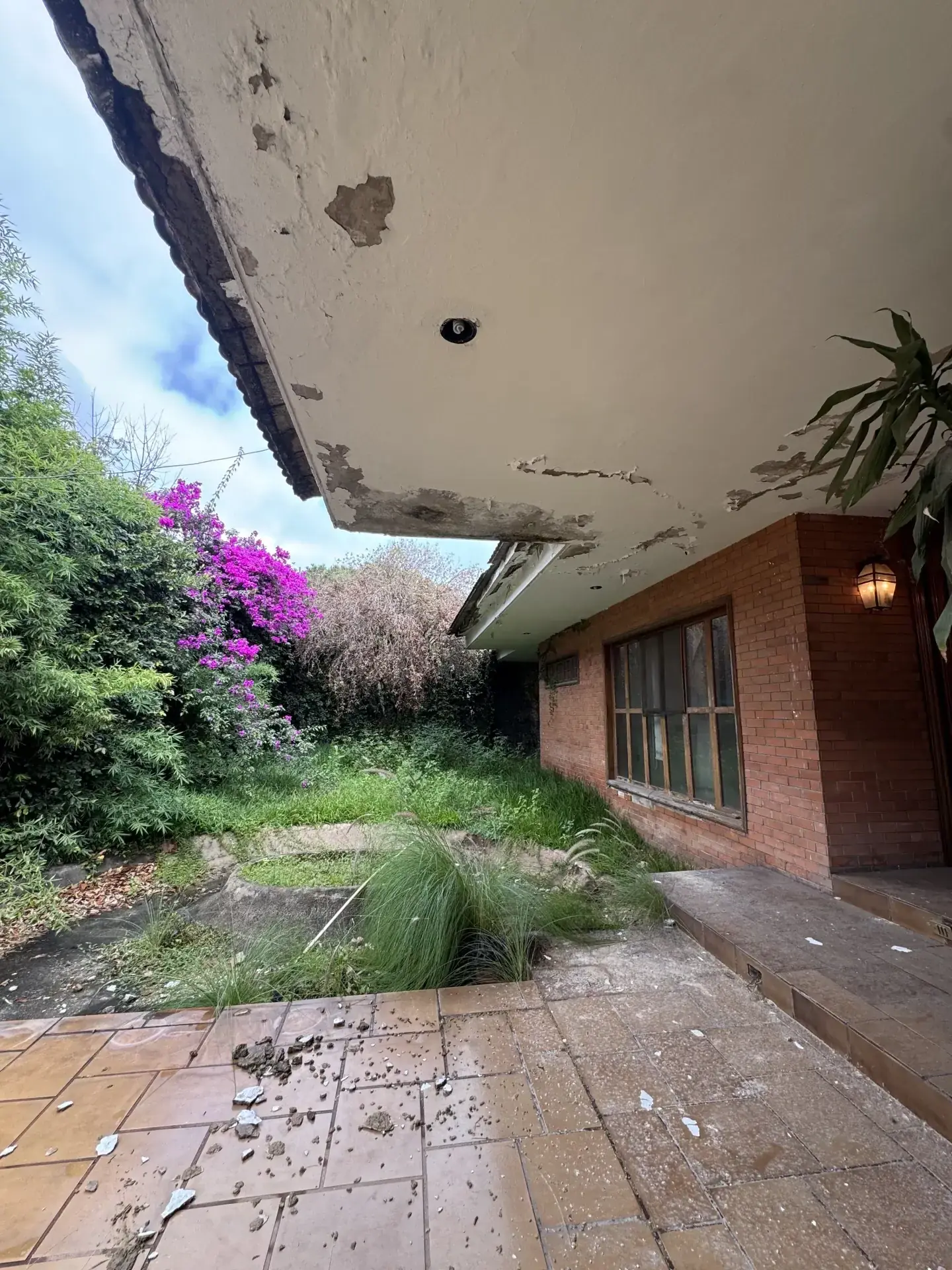 Servicio de maquinaria para demolicion con personal y maquinaria especializada, enfocado en seguridad, retiro de escombro y avance de obra en Guadalajara, Jalisco.