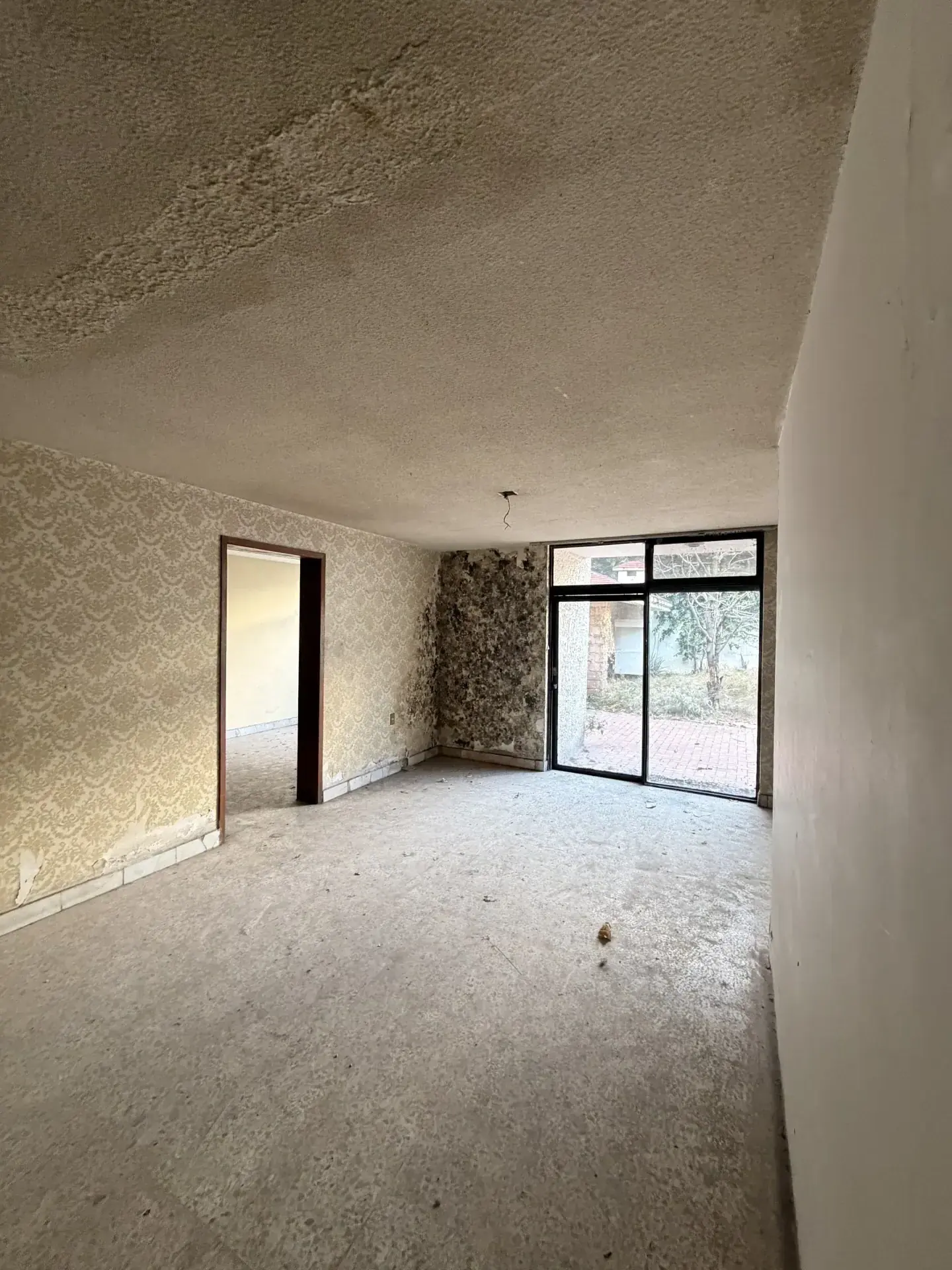 Servicio de maquinaria para demolicion con personal y maquinaria especializada, enfocado en seguridad, retiro de escombro y avance de obra en Guadalajara, Jalisco.