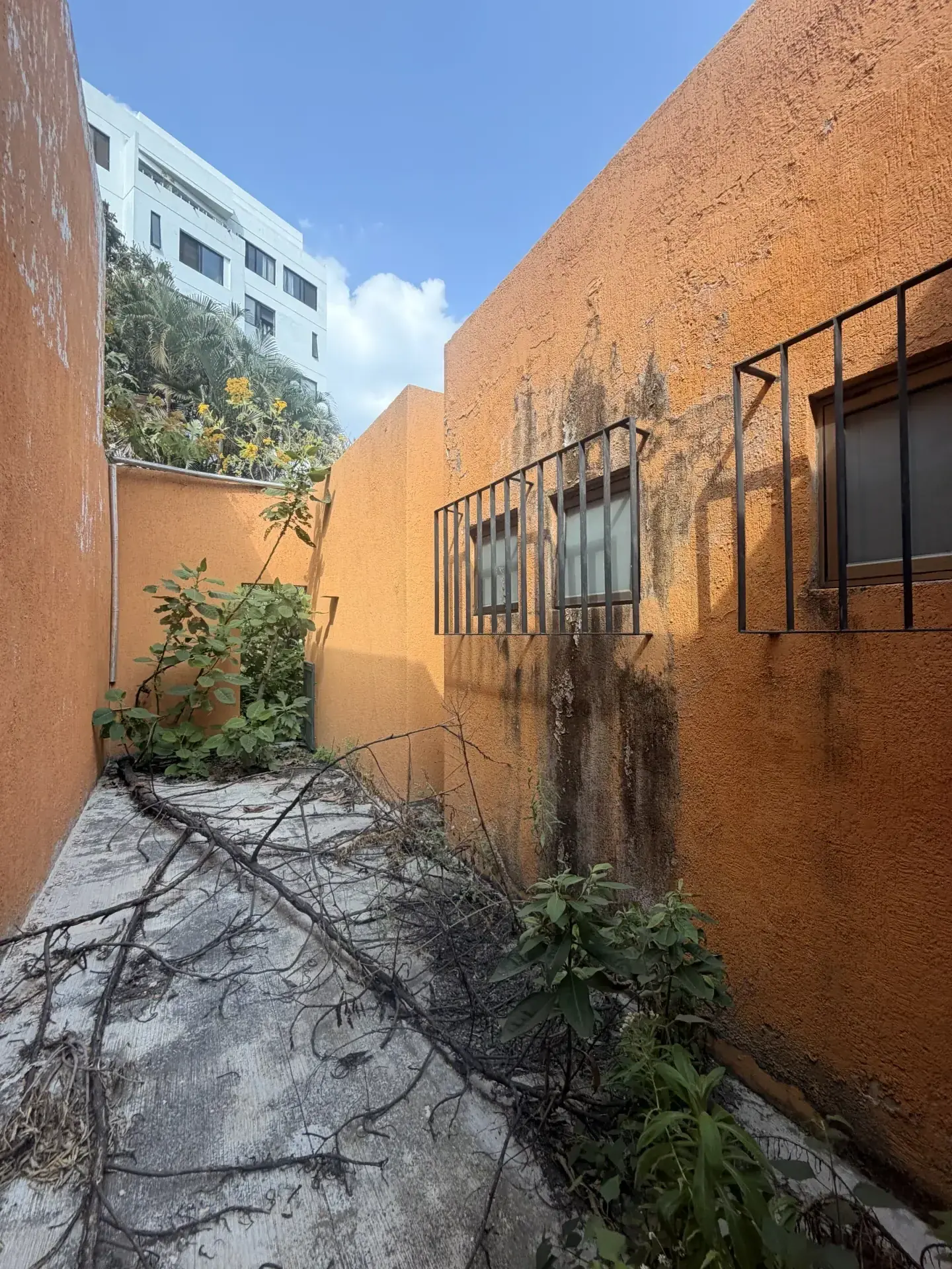 Servicio de movimiento de tierra con personal y maquinaria especializada, enfocado en seguridad, retiro de escombro y avance de obra en Guadalajara, Jalisco.