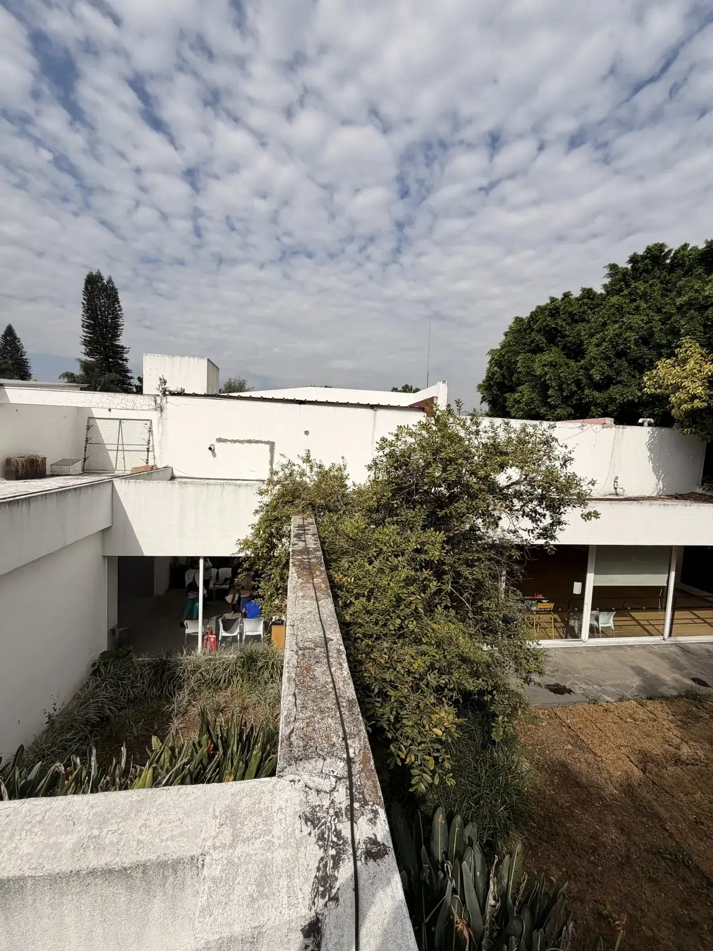 Servicio de movimiento de tierra con personal y maquinaria especializada, enfocado en seguridad, retiro de escombro y avance de obra en Guadalajara, Jalisco.